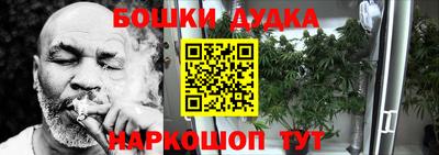 индика Абакан